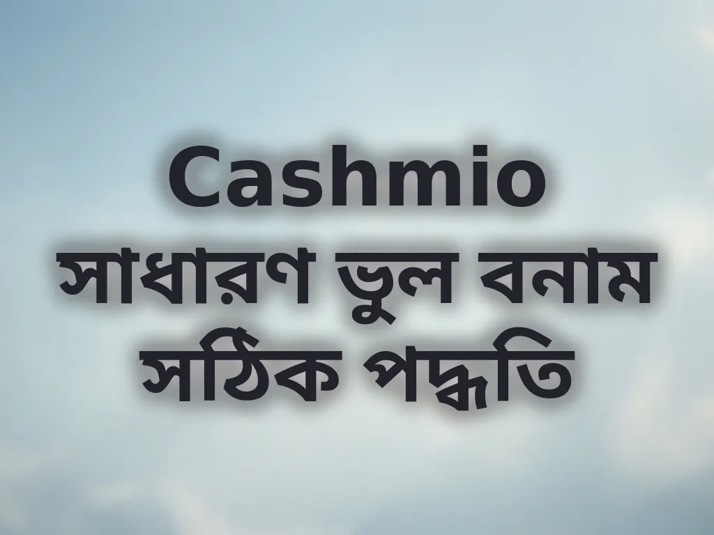 Cashmio সাধারণ ভুল